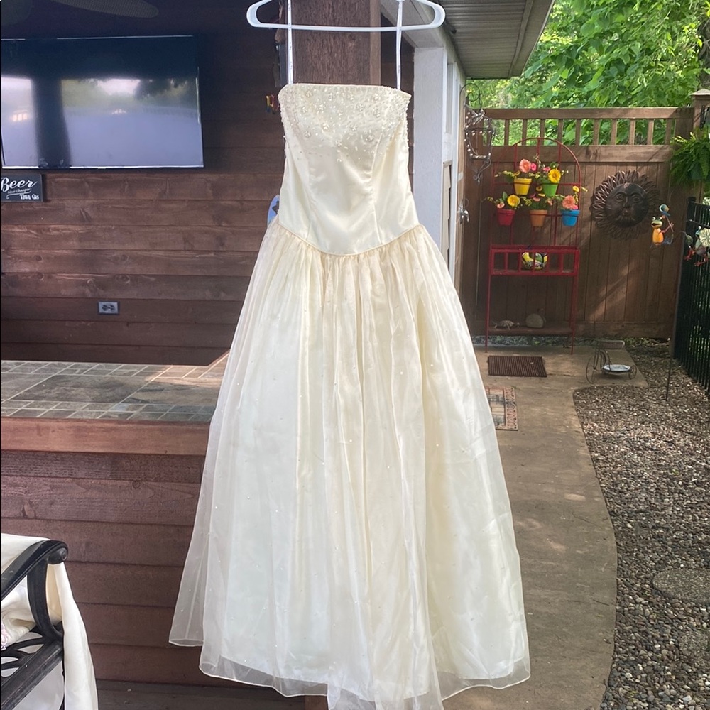 Elegant Cream Ball gown Dress
